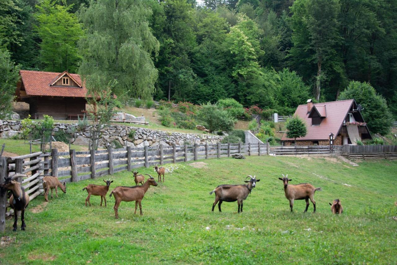 Apartma Kasca Domžale Exterior foto